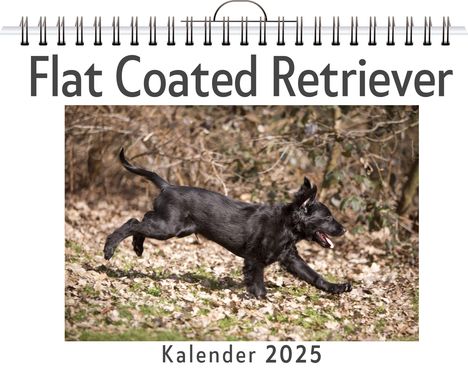 Lena Schmitz: Flat Coated Retriever, Kalender