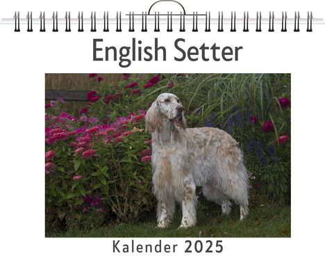 Lucas Münch: English Setter, Kalender