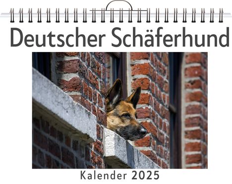 Aaron Meier: Deutscher Schäferhund, Kalender