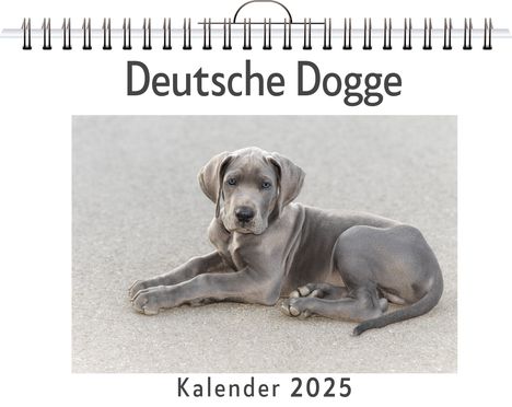 Lily Scholz: Deutsche Dogge, Kalender