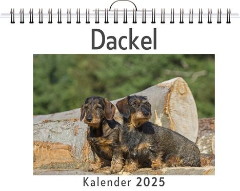 Tim Lange: Dackel, Kalender