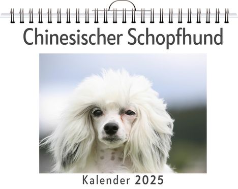 Sofia Koch: Chinesischer Schopfhund, Kalender