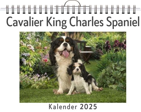 Linus Braun: Cavalier King Charles Spaniel, Kalender