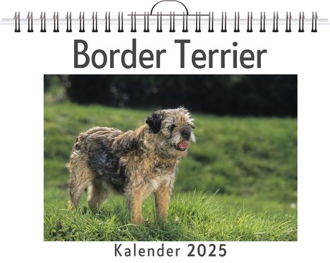 Alexander Peters: Border Terrier, Kalender