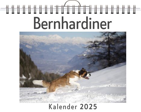 Marie Maier: Bernhardiner, Kalender