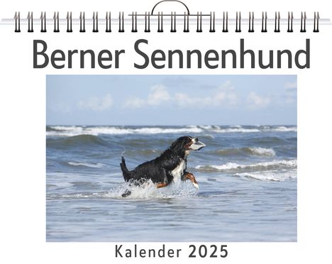 Luisa Peters: Berner Sennenhund, Kalender