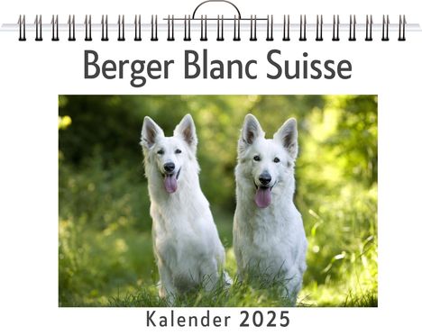 Finn Hartmann: Berger Blanc Suisse, Kalender