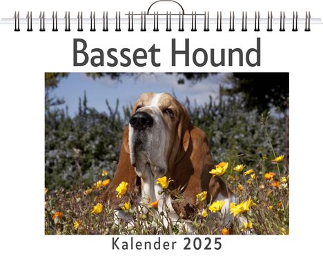 Jonas Hartmann: Basset Hound, Kalender