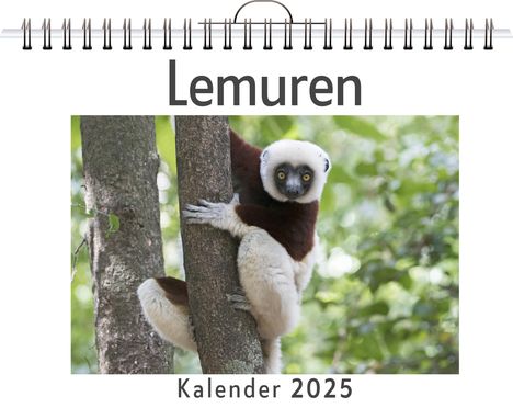 Max Peters: Lemuren, Kalender