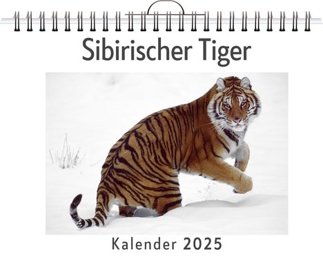 Luca Fischer: Sibirischer Tiger, Kalender