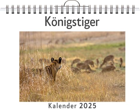 Aaron Müller: Königstiger, Kalender