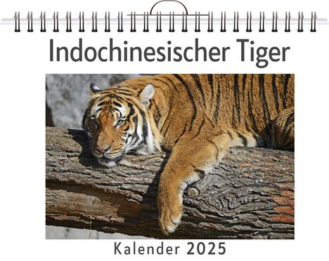 Marie Richter: Indochinesischer Tiger, Kalender