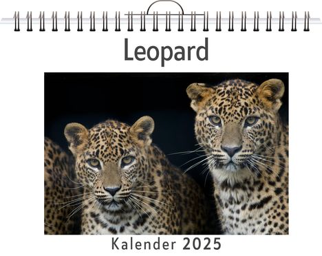 Max Schmid: Leopard, Kalender