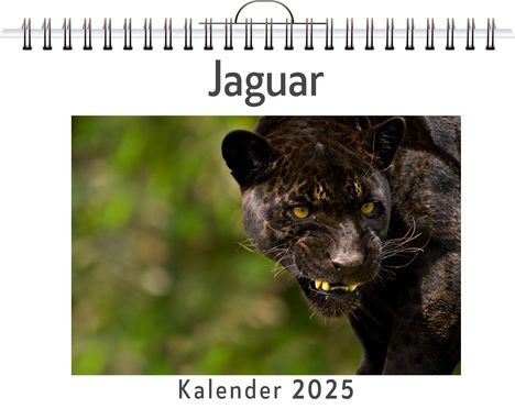 Alice Weber: Jaguar, Kalender