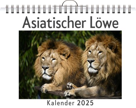 Emma Peters: Asiatischer Löwe, Kalender