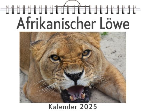 Samuel Horn: Afrikanischer Löwe, Kalender