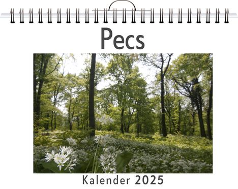 Lily Hofmann: Pecs, Kalender