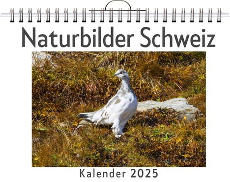 David Huber: Naturbilder Schweiz, Kalender