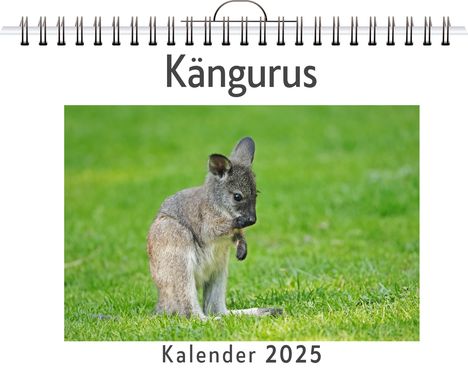 Ben Schwarz: Kängurus, Kalender