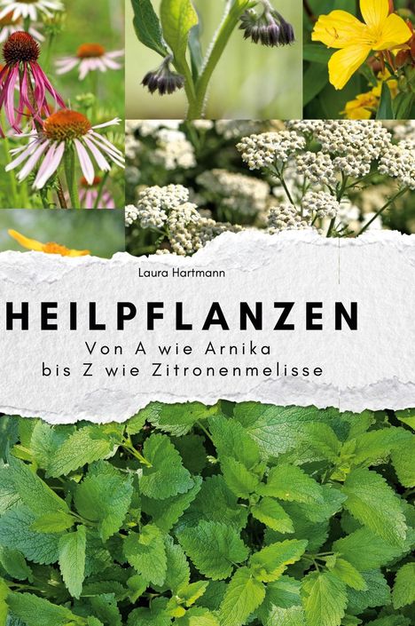 Laura Hartmann: Heilpflanzen, Buch