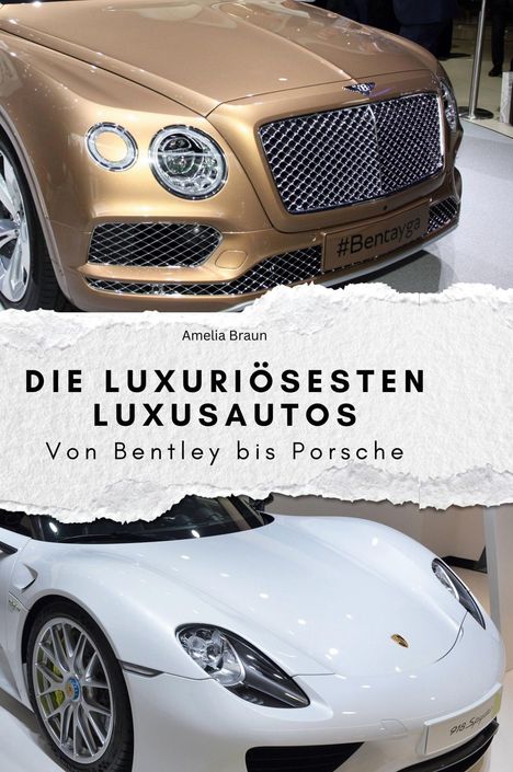 Amelia Braun: Die luxuriösesten Luxusautos, Buch