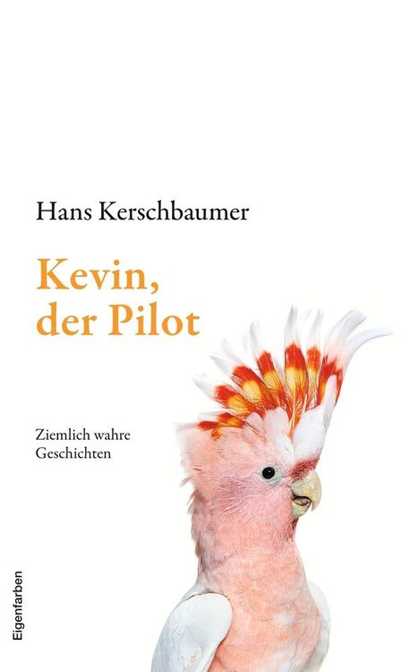 Hans Kerschbaumer: Kevin, der Pilot, Buch