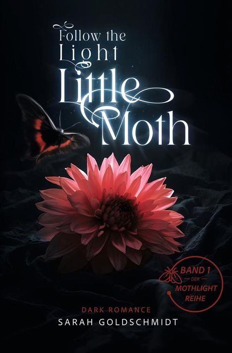 Sarah Goldschmidt: follow the light little moth, Buch