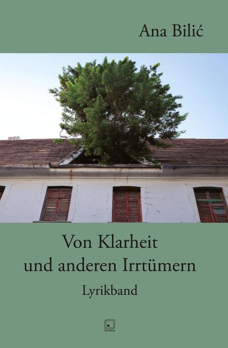 Ana Bilic: Von Klarheit und anderen Irrtümern, Buch