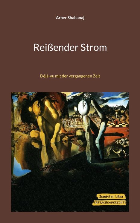 Arber Shabanaj: Reißender Strom, Buch