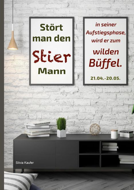 Silvia Kaufer: Stört man den Stier Mann in seiner Aufstiegsphase, wird er zum wilden Büffel, Buch