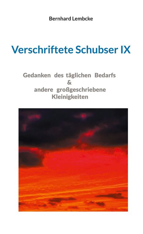 Bernhard Lembcke: Verschriftete Schubser IX, Buch