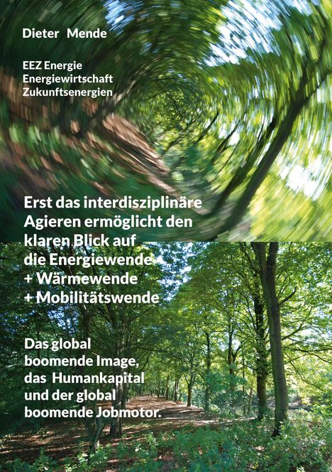 Dieter Mende: Erst das interdisziplinäre Agieren ermöglicht den klaren Blick auf die Energiewende + Wärmewende + Mobilitätswende, Buch