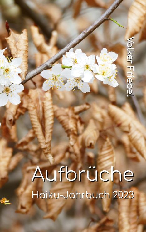 Volker Friebel: Aufbrüche, Buch