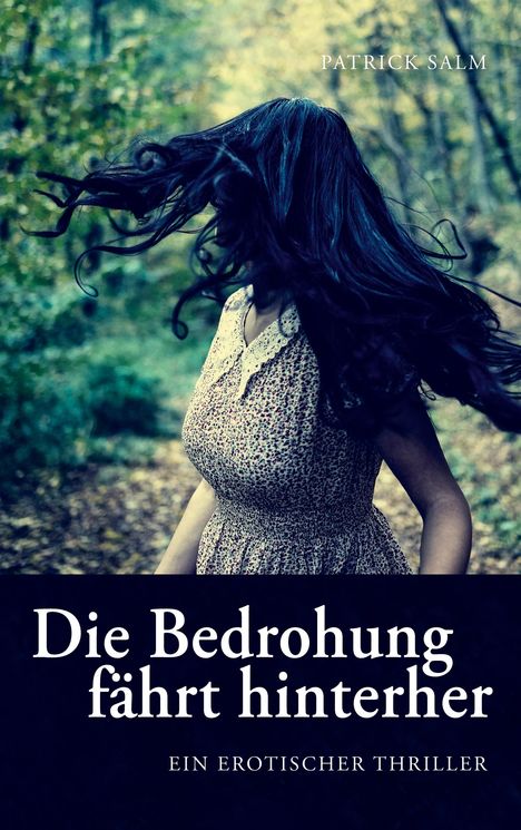 Patrick Salm: Die Bedrohung fährt hinterher, Buch