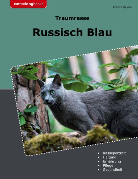 Caroline Dessau: Traumrasse Russisch Blau, Buch