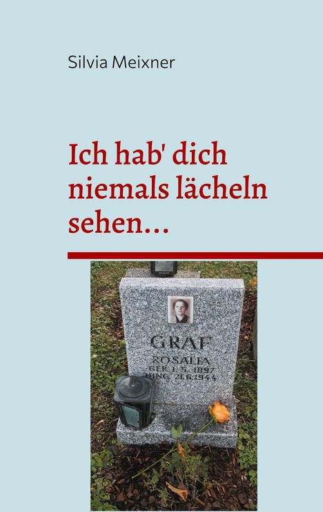 Silvia Meixner: Ich hab' dich niemals lächeln sehen..., Buch