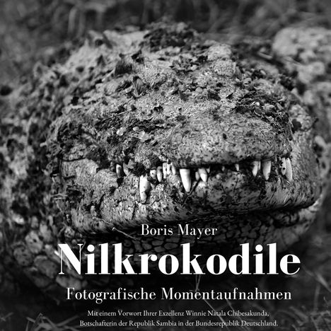 Boris Mayer: Nilkrokodile, Buch