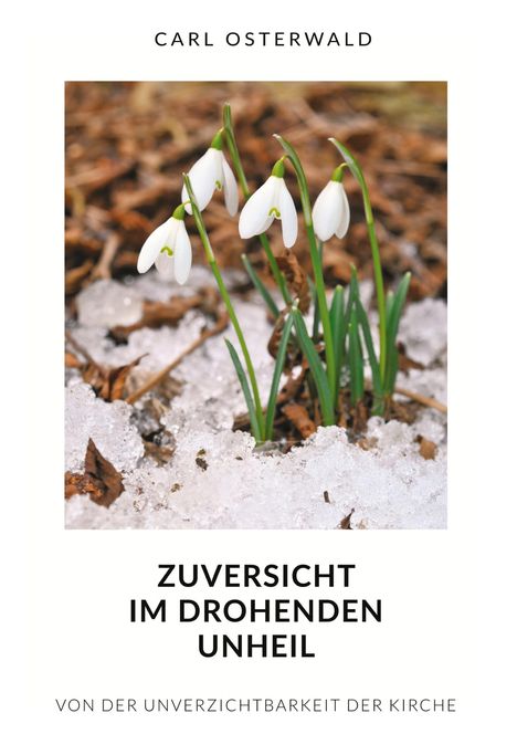 Carl Osterwald: Zuversicht im drohenden Unheil, Buch