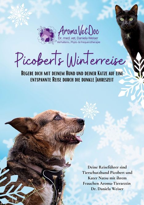 Daniela Weiser: Picoberts Winterreise, Buch