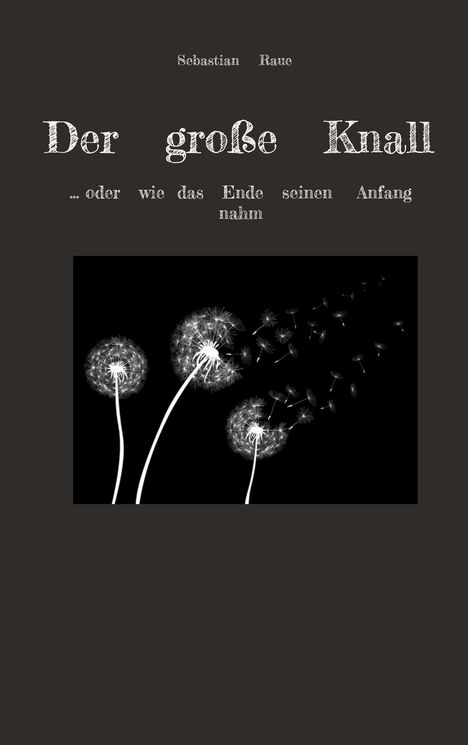 Sebastian Raue: Der große Knall, Buch