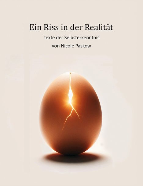 Nicole Paskow: Ein Riss in der Realität, Buch