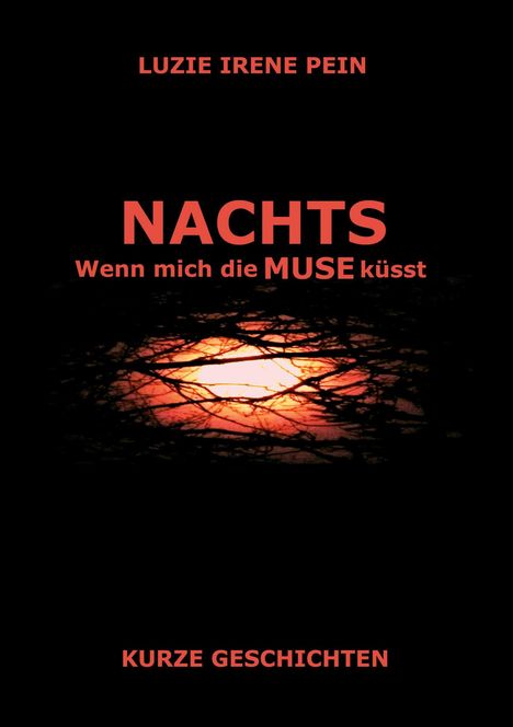 Luzie Irene Pein: Nachts, Buch