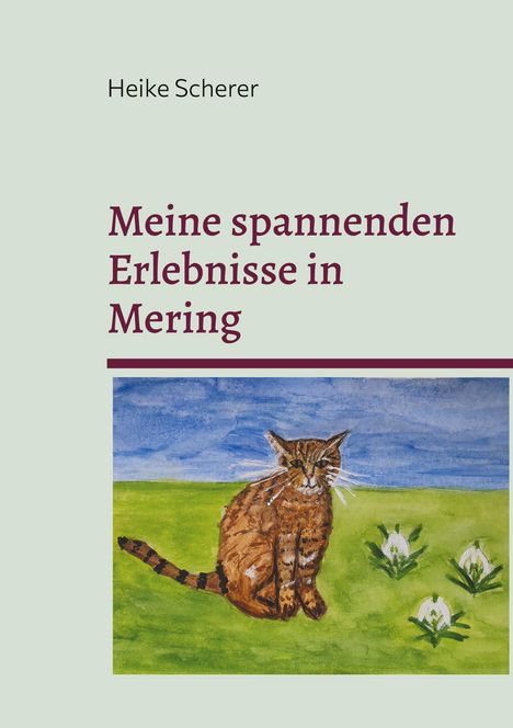 Heike Scherer: Meine spannenden Erlebnisse in Mering, Buch