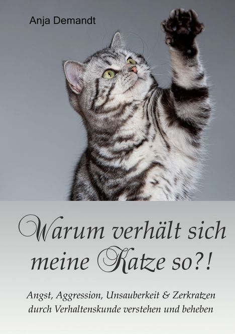 Anja Demandt: Warum verhält sich meine Katze so, Buch