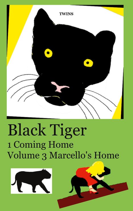 .. Twins: Black Tiger 1 Coming Home, Buch