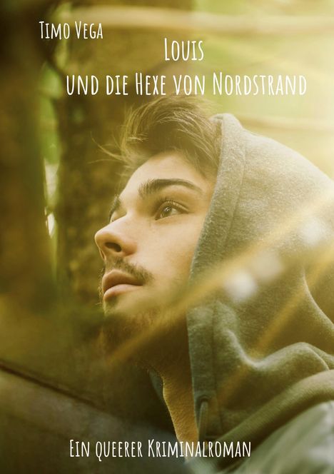 Timo Vega: Louis und die Hexe von Nordstrand, Buch