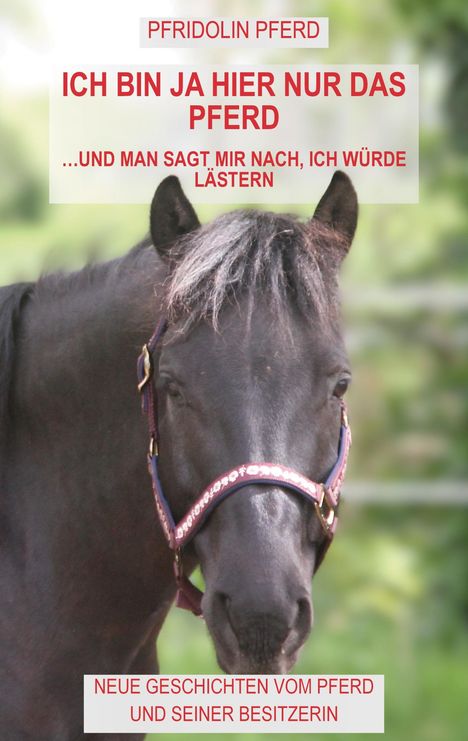 Pfridolin Pferd: Ich bin ja hier nur das Pferd, Buch