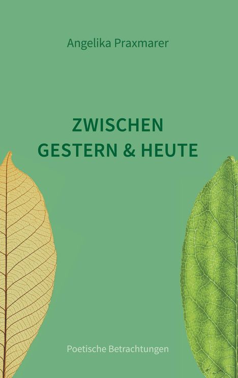 Angelika Praxmarer: Zwischen Gestern und Heute, Buch