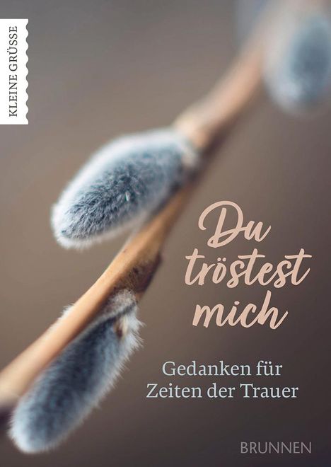 Du tröstest mich, Buch