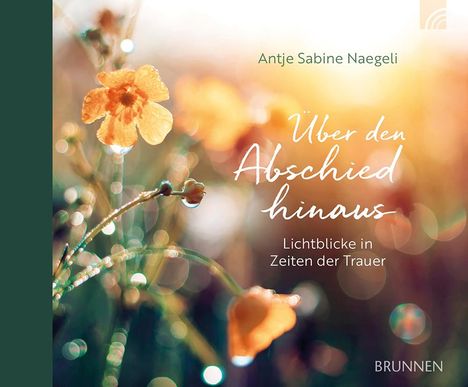 Antje Sabine Naegeli: Über den Abschied hinaus, Buch